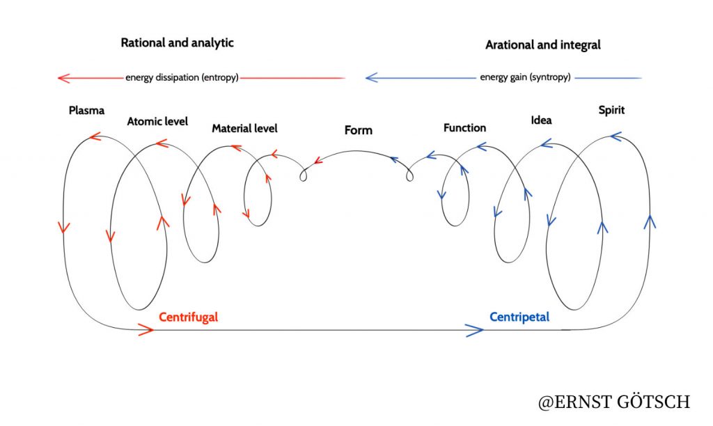 What is Syntropic Farming? – Agenda Gotsch